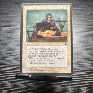1x Leeches - LP - Homelands - mtg